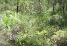 Rosewood NSWsustainable-landscaping-21.jpg; ?>